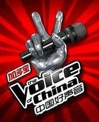中国好声音第二季全集在线观看,梦想舞台，激情燃烧的视听盛宴  第1张